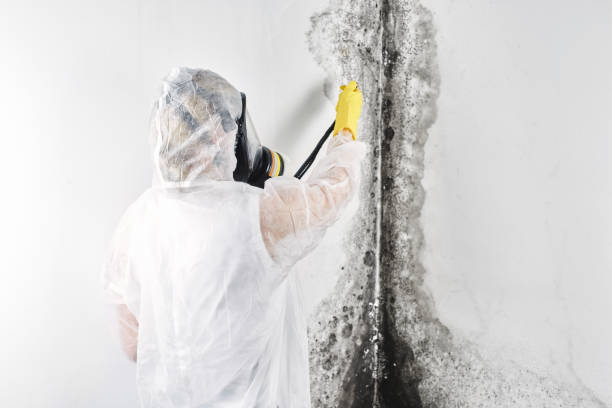 Best Residential water damage restoration  in Myrtle Grove, NC